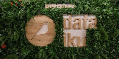 Dataiku Services Partner Ecosystem Analysis