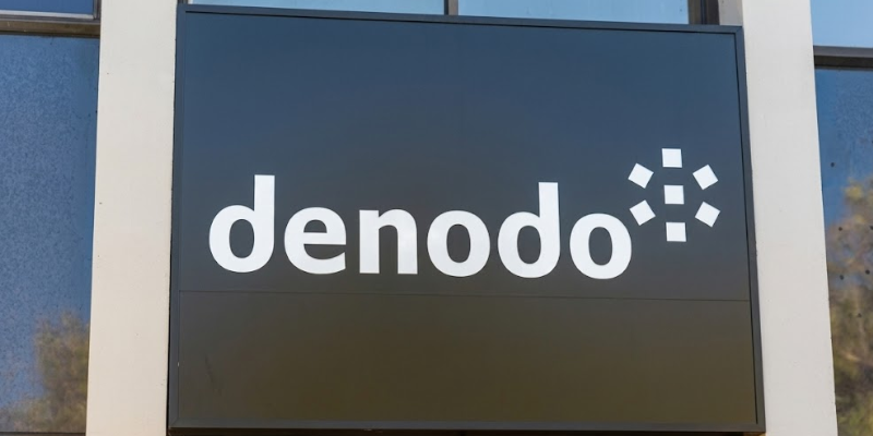 Denodo Services Partner Ecosystem Analysis